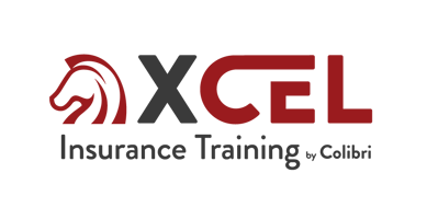 XCEL LOGO